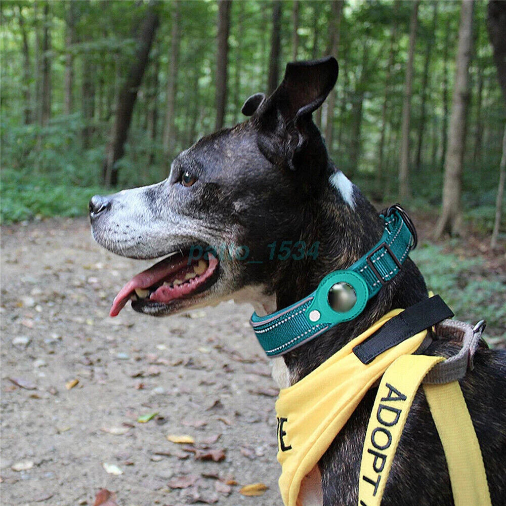 Airtag Dog Collar - 50% OFF Today Only